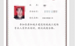 安全員c1c2c3什么區別