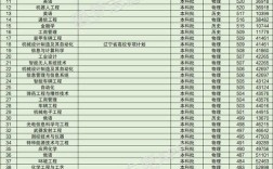 2024年沈陽理工大學專業(yè)排名