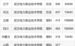武漢機(jī)電工程學(xué)校錄取分?jǐn)?shù)線
