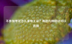 不參加考試怎么拿電工證？有這幾種路徑可以選擇