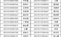 高考準(zhǔn)考證號(hào)幾位數(shù)