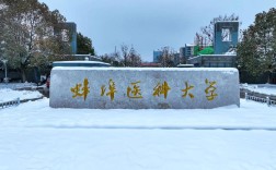 醫(yī)學(xué)類自考本科安徽可選院校2025年匯總：專科非醫(yī)學(xué)專業(yè)能否報(bào)考？——蚌埠醫(yī)科大學(xué)怎么報(bào)名？