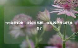 2023年低壓電工考試題解析：你是否已經(jīng)做好準備？