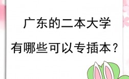 廣東二本大學(xué)有哪些學(xué)校？如何選擇適合的專業(yè)？