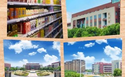 合肥共達職業(yè)技術學院2025年復讀班升學率怎樣？有哪些專業(yè)？安徽高考分數(shù)要求？