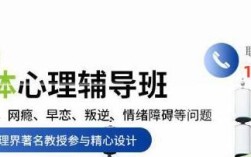 平頂山叛逆孩子戒網癮管教學?？诒琶庞[與護航教育詳解