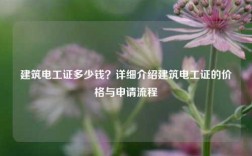 建筑電工證多少錢(qián)？詳細(xì)介紹建筑電工證的價(jià)格與申請(qǐng)流程