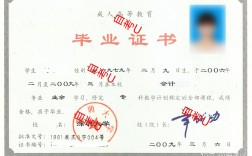 深圳專升本(深圳成人本科)