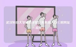 武漢科技大學城市學院教務系統入口（附網址+流程）