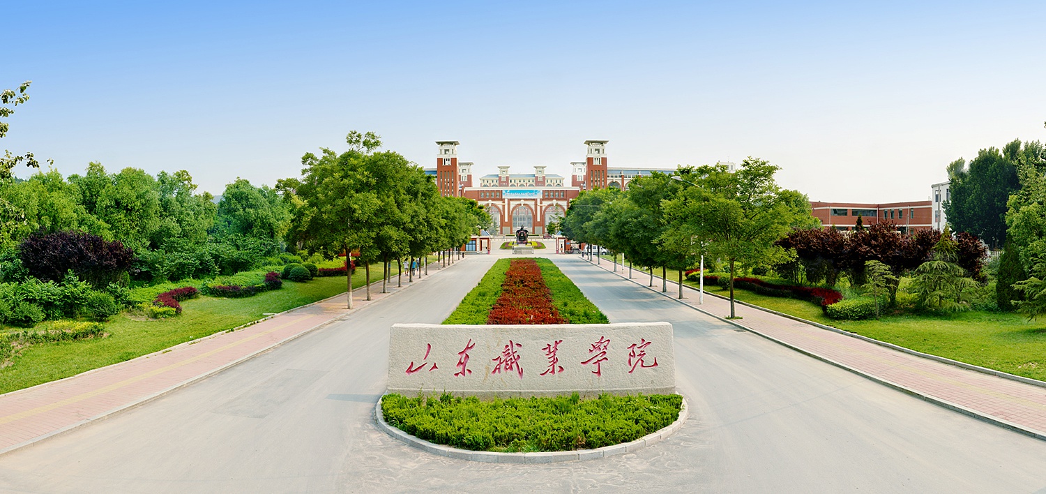 山東最好的職業(yè)學院(山東技術學校排名前十)-圖1