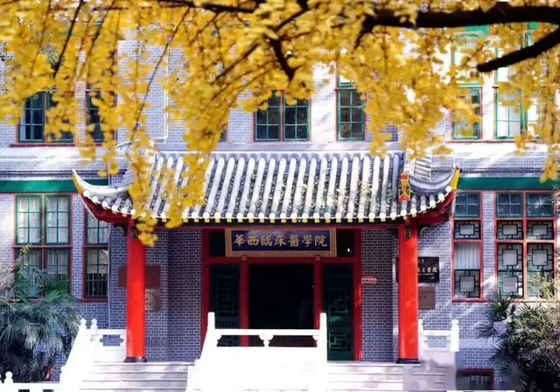 醫學院校(醫學類最吃香的三個專業)-圖1