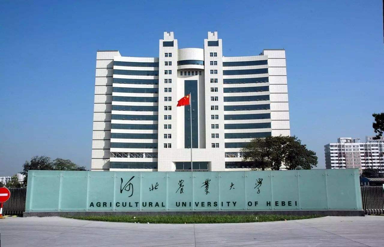 河北最容易考研的大學(xué)(一般二本建議考研學(xué)校)-圖1