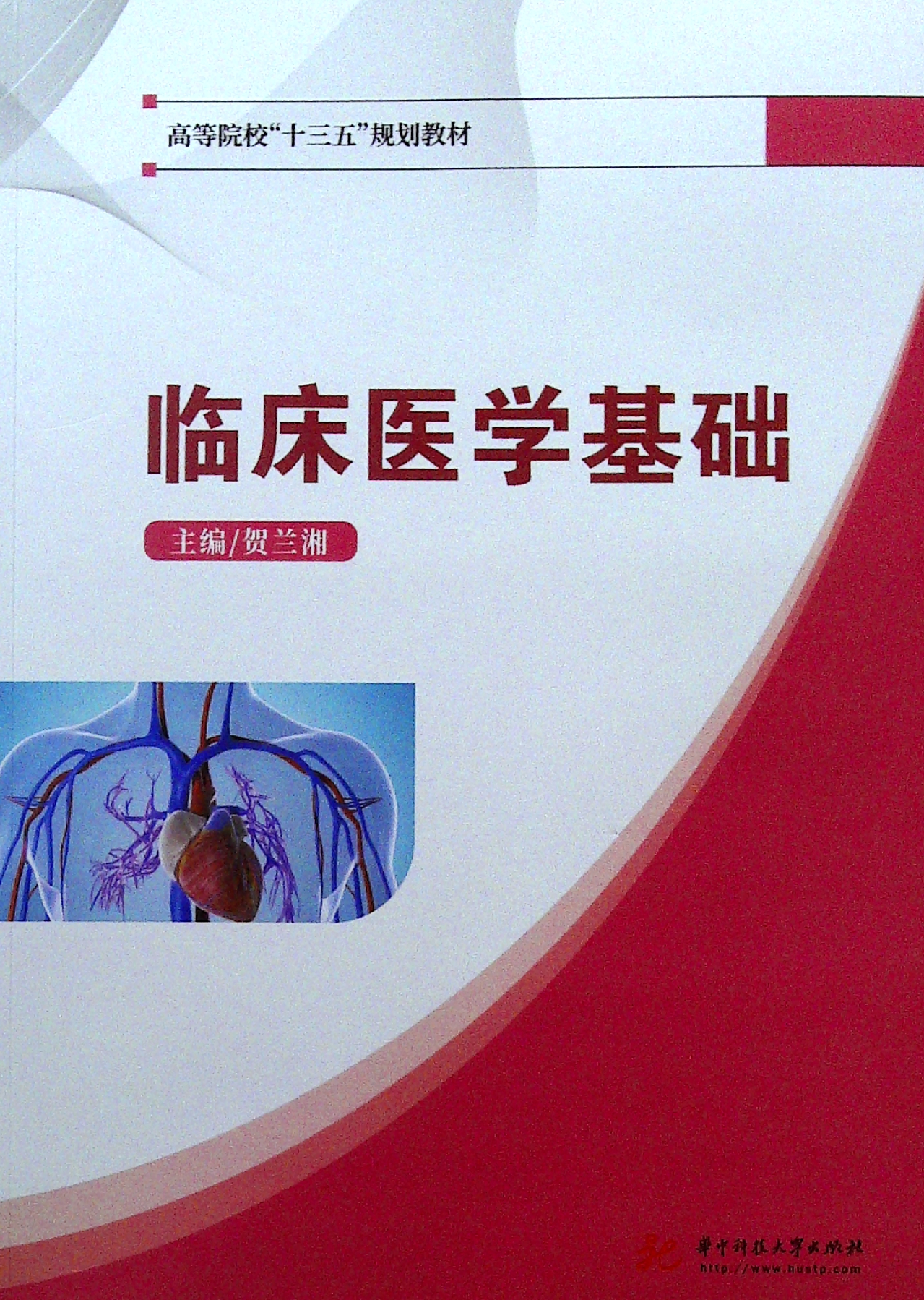 臨床醫(yī)學(xué)基礎(chǔ)(臨床醫(yī)學(xué)知識點(diǎn))-圖1