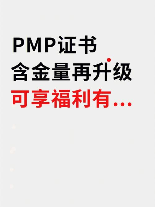 pmp含金量(pmp證書報考條件要求)-圖1