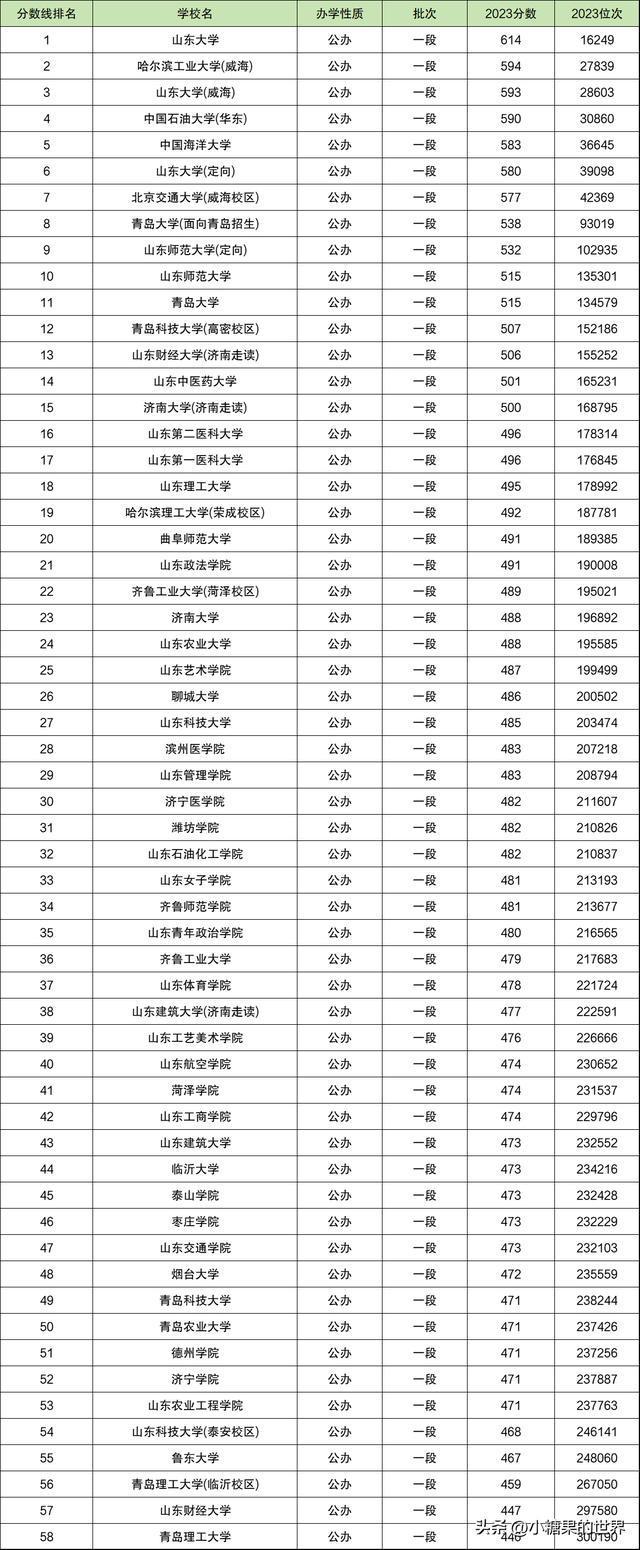 山東省最低分的二本公辦大學(xué)(中國傳媒大學(xué)2+2國際本科)-圖1
