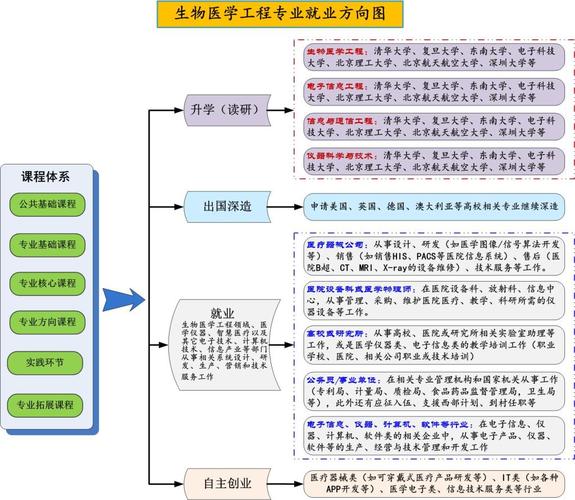 生物工程專業(yè)就業(yè)方向及前景-圖1