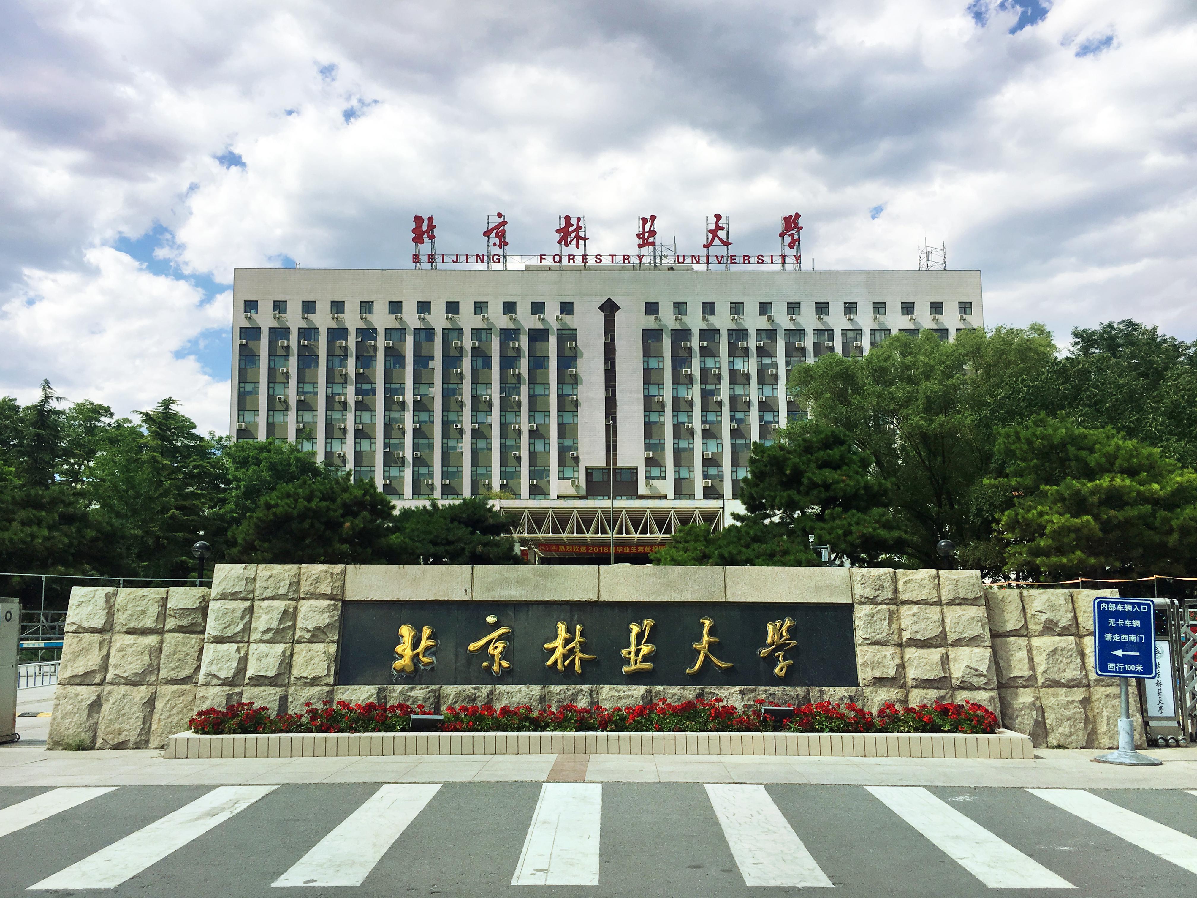 北京林業(yè)大學(xué)面積-圖1