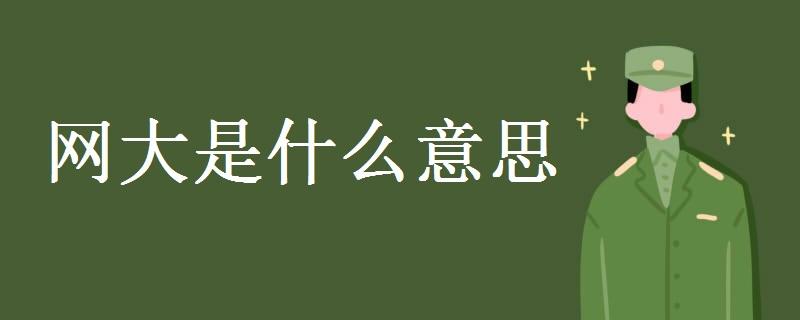 網(wǎng)大是什么意思-圖1