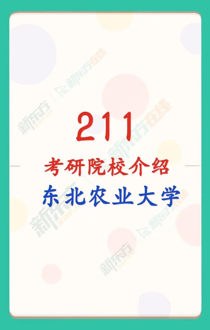 東北農業大學是一本還是二本-圖1