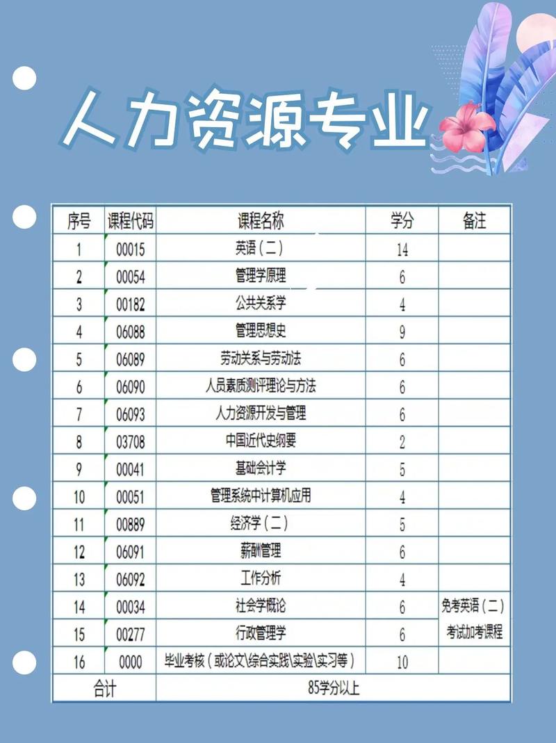 人力資源管理是冷門專業嗎-圖1