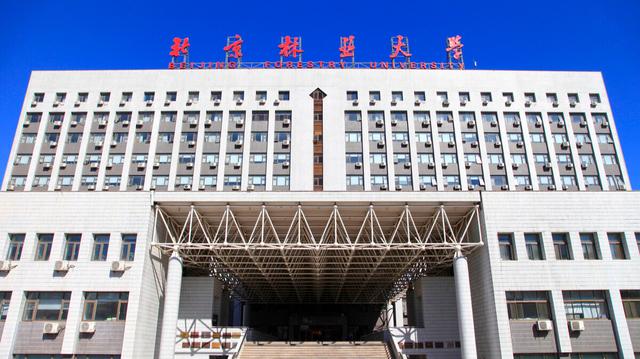 北京林業(yè)大學是雙一流大學嗎-圖1