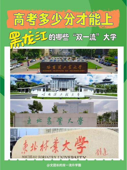 東北農業(yè)大學是雙一流嗎-圖1