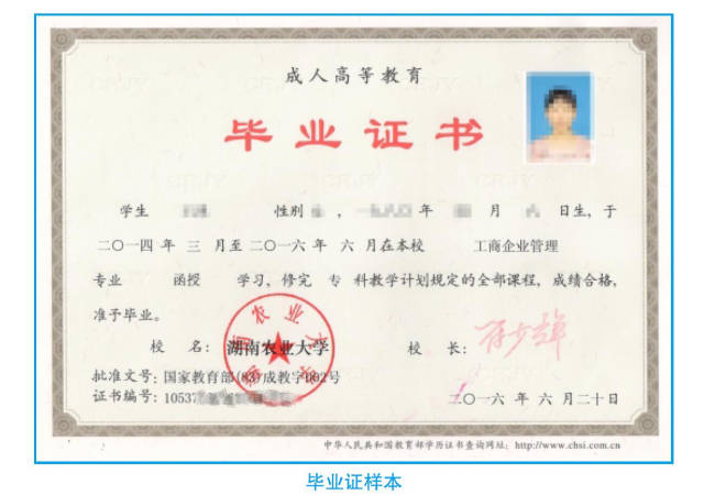 會計大專文憑有用嗎-圖1