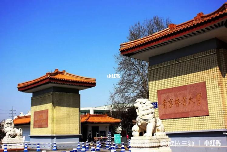 林業(yè)考研最好考的學(xué)校-圖1