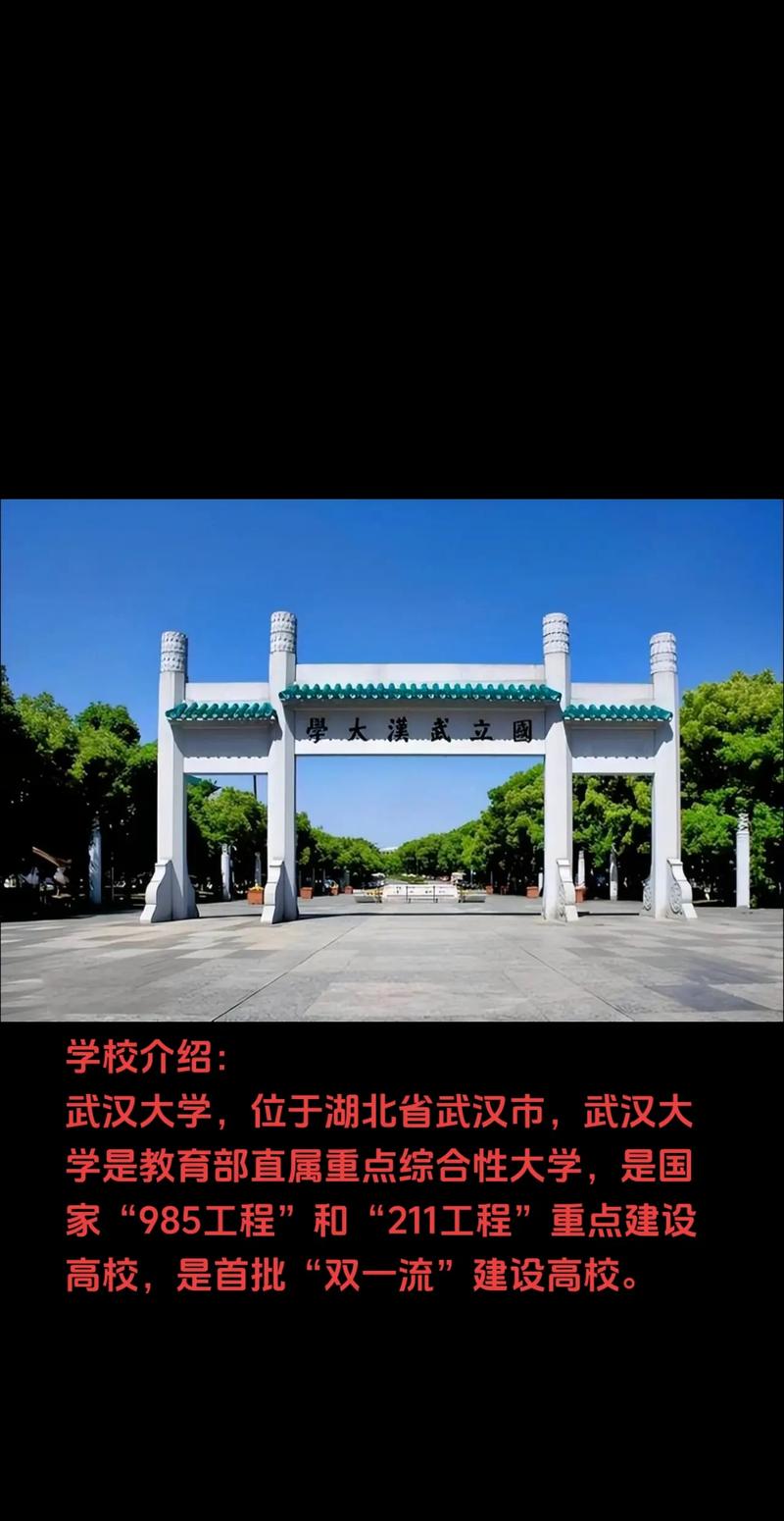 武漢的高校有哪些？各自的特點是什么？-圖1