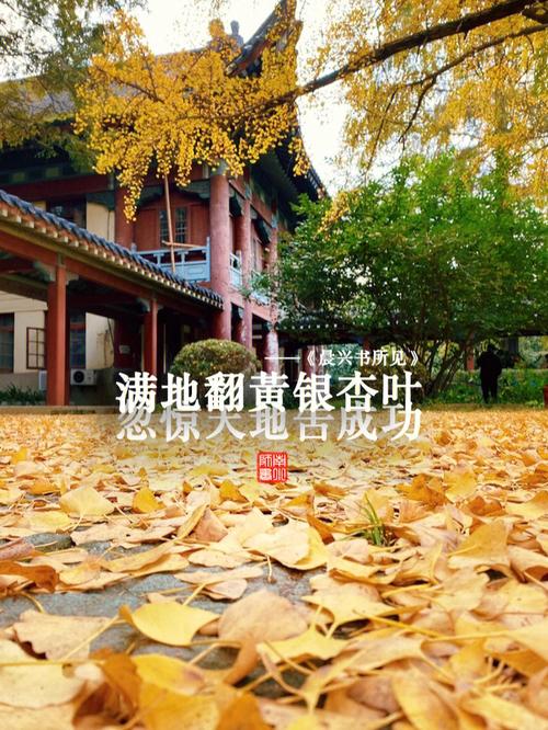 南京師范大學(xué)隨園校區(qū)地址是什么？如何查詢？-圖1