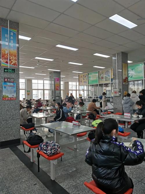 石河子大學(xué)教務(wù)一體化登錄入口（附網(wǎng)址+流程）-圖1