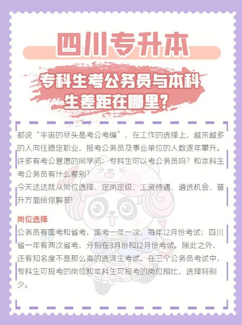 專科生能考公務(wù)員嗎(大專最容易考的公務(wù)員)-圖1