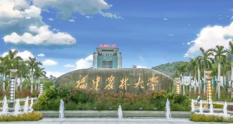 福建農(nóng)林大學是211嗎-圖1
