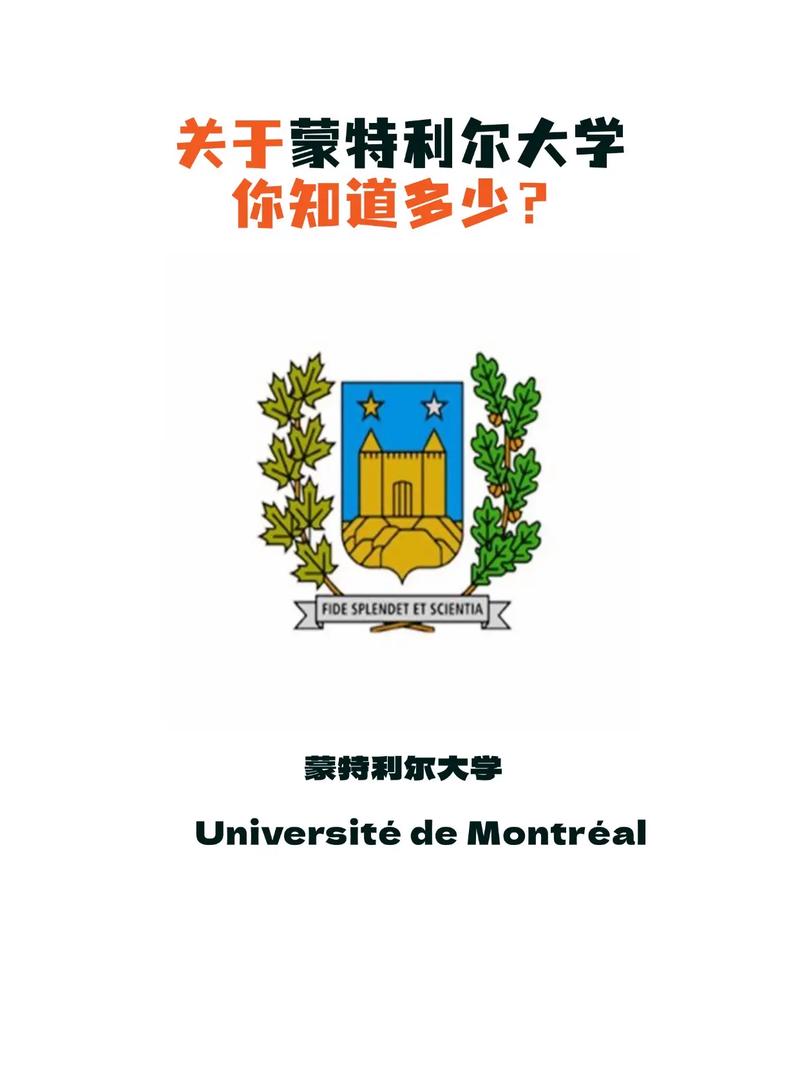蒙特利爾大學相當于國內什么檔次？什么水平？-圖1
