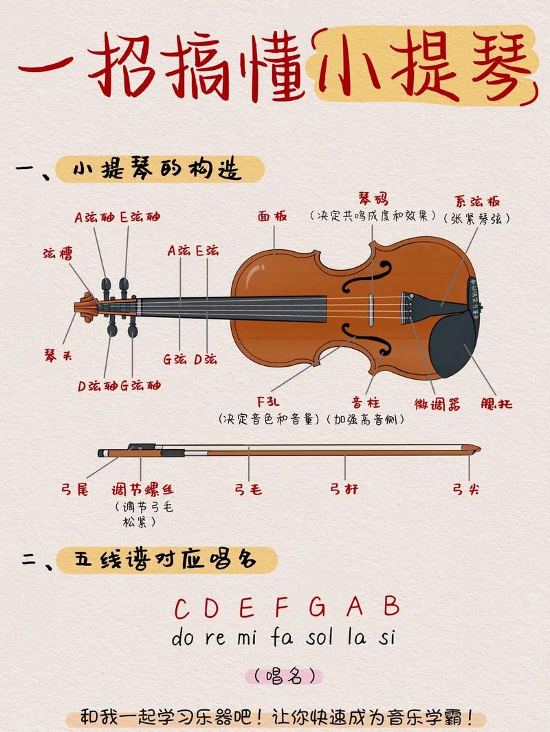 十種不適合學(xué)小提琴的人（特點(diǎn)）-圖1