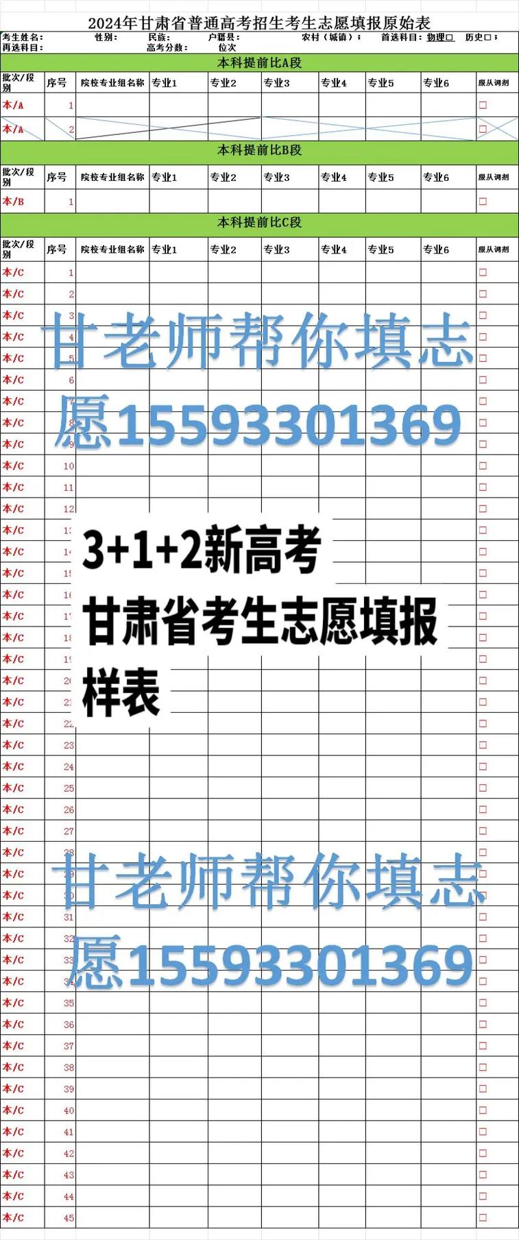 甘肅省高考志愿填報(bào)模板-圖1