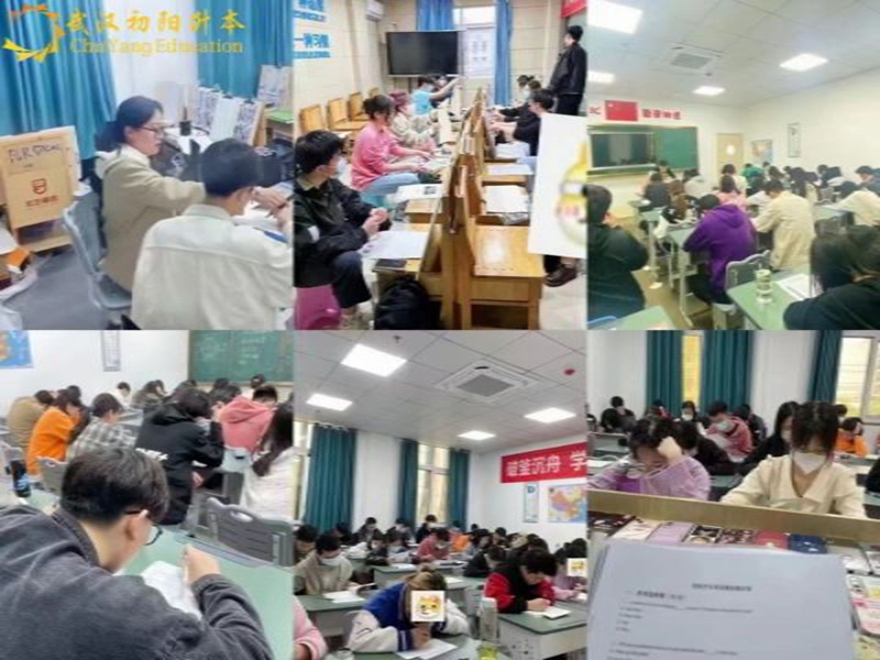 武漢專升本優(yōu)選機(jī)構(gòu):初陽(yáng)教育深度剖析-圖1