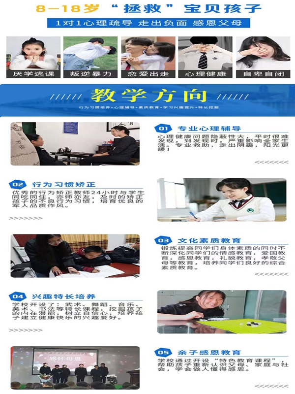 青少年網(wǎng)癮與叛逆問題：優(yōu)選教育學(xué)校指南-圖3