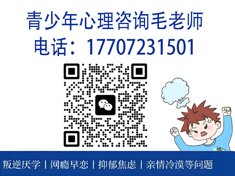 武漢哪里有青少年叛逆學(xué)校-30天可見孩子改變-上門接送-圖3