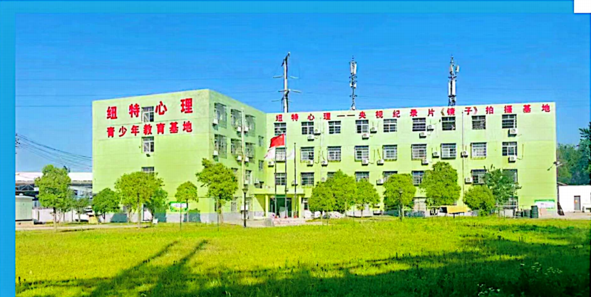 江蘇揚(yáng)州紐特教育心理:專注青少年心理健康與全面發(fā)展-圖1