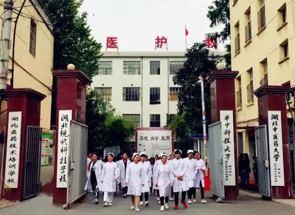 湖北武漢中專護(hù)理專業(yè)學(xué)校排名前五推薦-圖1