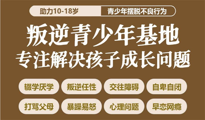 石家莊2025年孩子叛逆網(wǎng)癮不上學矯正學校口碑top名單排名前十-圖1