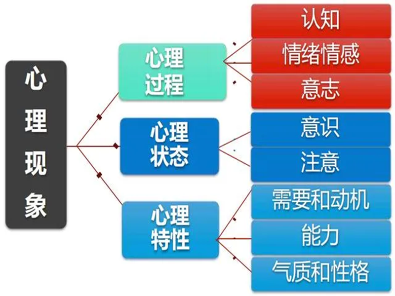 2025年中心協心理咨詢師怎么報名？-圖3