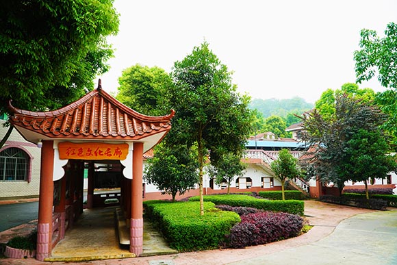 重慶德志錦輝素質(zhì)教育為什么好評(píng)如潮？-圖1