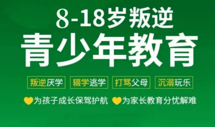 湖北地區(qū)問題青少年全封閉式特訓營(叛逆厭學網(wǎng)癮管教學校)-圖3