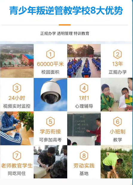 湖北武漢紐特心理-專注改善青少年網(wǎng)癮叛逆-圖2