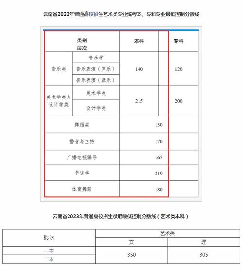 2024云南藝術(shù)學(xué)院錄取分?jǐn)?shù)線-圖1