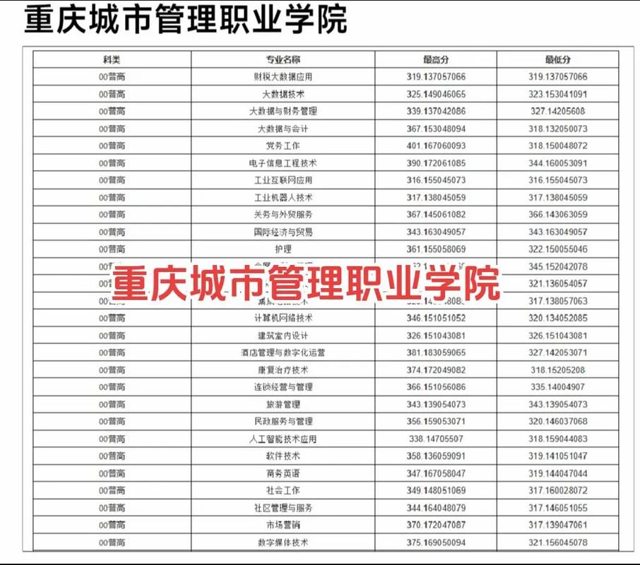 重慶城市管理職業(yè)學(xué)院錄取分數(shù)線-圖1
