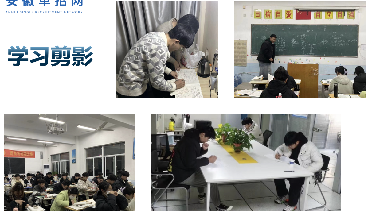2025年安徽分類考試-安徽單招集訓(xùn)新選擇-系統(tǒng)培訓(xùn)，全面提升-圖2