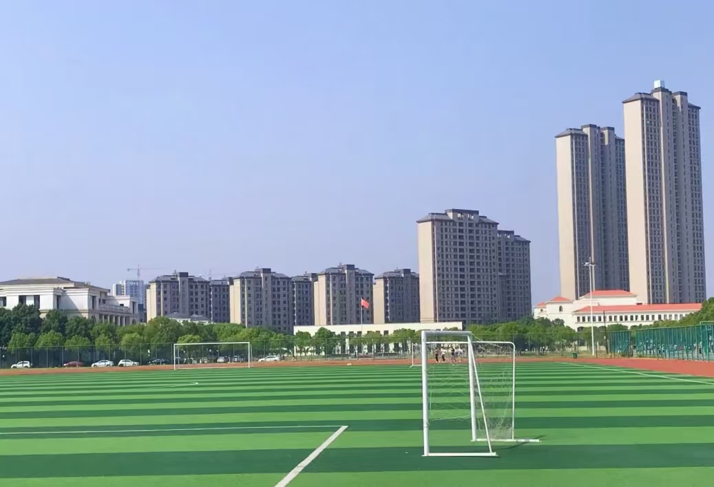 合肥信息技術(shù)職業(yè)學(xué)院檔次測(cè)評(píng)：教學(xué)質(zhì)量和就業(yè)前景分析-圖1